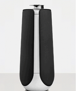 BeoLab 50
